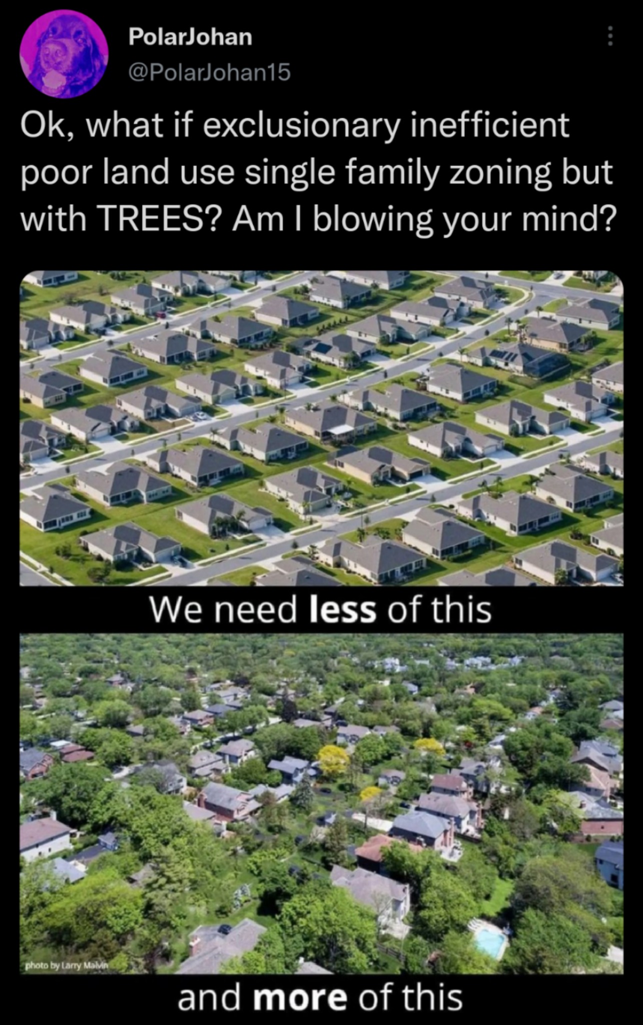 This meme is a play on the idea of a utopian society, where people are given the option to live in a world with no poverty or scarcity. The text "In a world where..." sets up a hypothetical scenario, and the punchline "we'd all just live in trees" is a humorous commentary on the idea that even in a perfect world, humans would still find ways to be lazy and indulge in comforts.